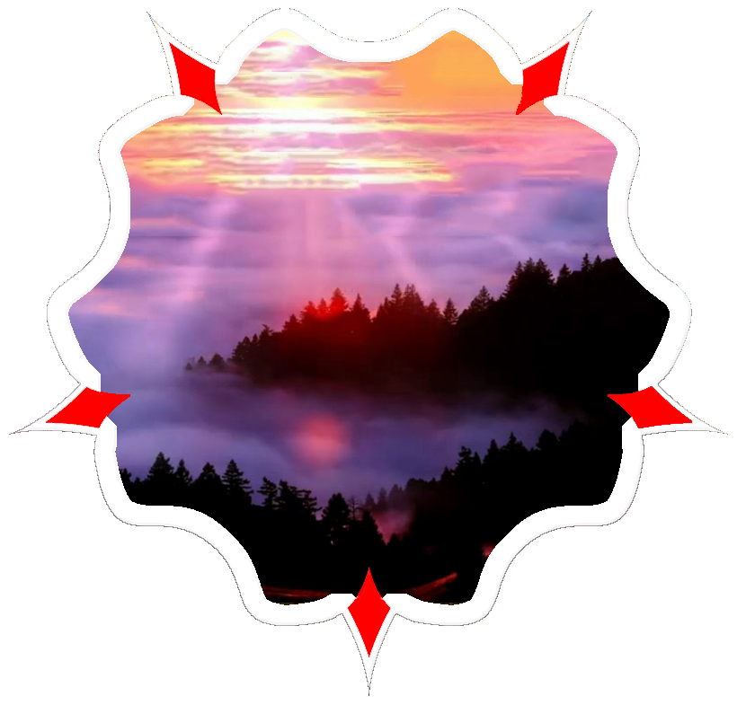 lis